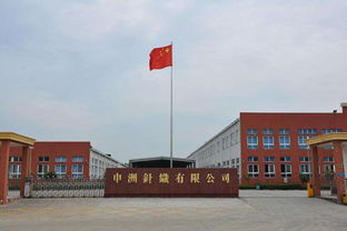 申洲國際半年業績增收10.8%，生產效率提升成關鍵驅動力，運動類產品銷售額占67.9%